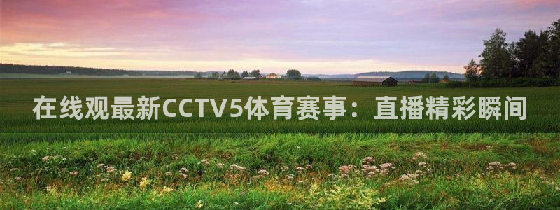 火凤直播篮球免费观看：在线观最新CCTV5体育赛事：直播精彩瞬间