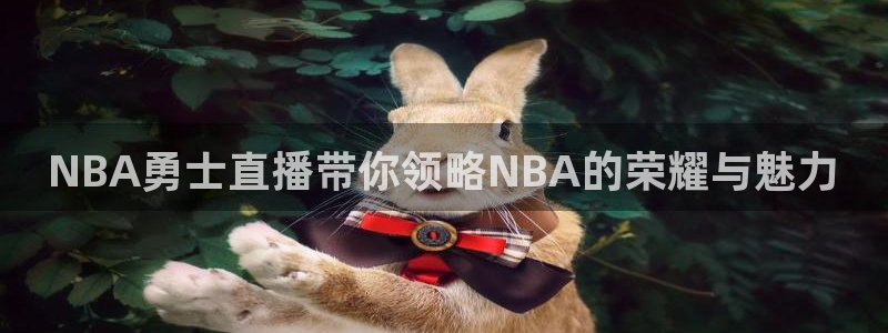 火凤直播篮球免费观看：NBA勇士直播带你领略NBA的荣耀与魅力