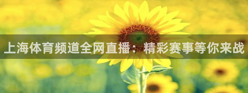 火凤足球直播在线观看：上海体育频道全网直播：精彩赛事等你来战