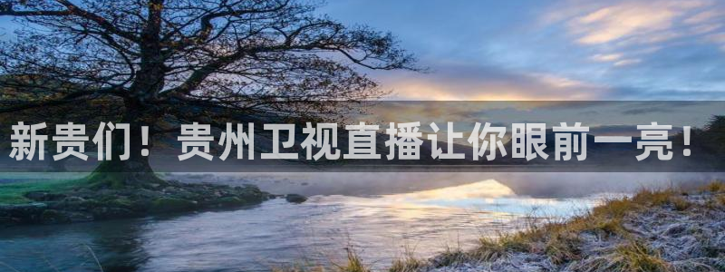 火凤直播五大联赛：新贵们！贵州卫视直播让你眼前一亮！