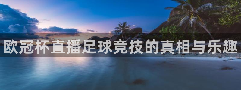 火凤直播体育免费直播
