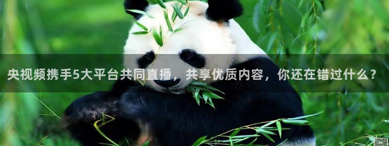 火凤直播足球免费观看：央视频携手5大平台共同直播，共享优质内容，你还在错过什么？