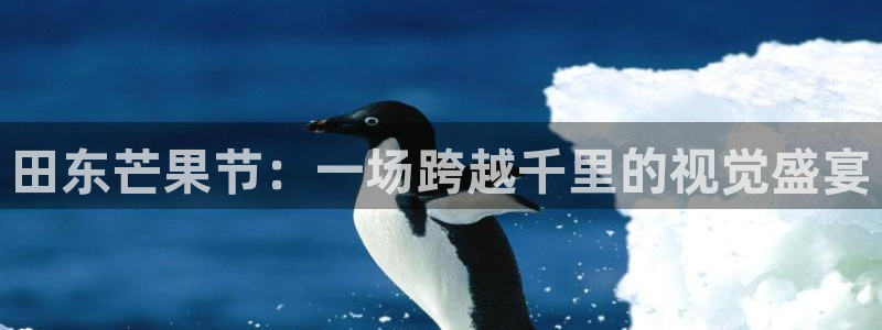 火凤直播足球免费观看：田东芒果节：一场跨越千里的视觉盛宴