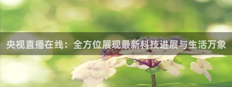 火凤直播体育足球：央视直播在线：全方位展现最新科技进展与生活万象