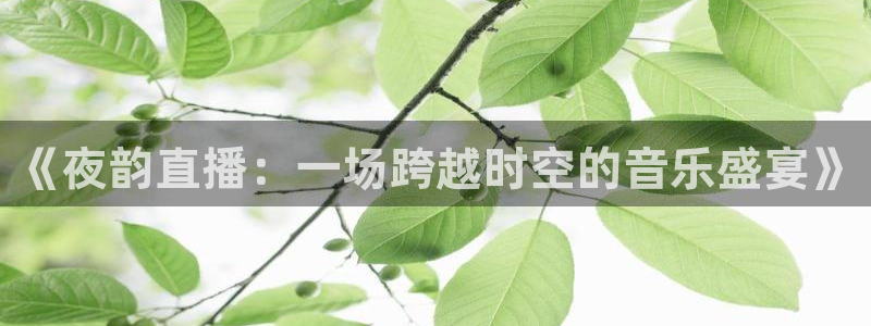 火凤直播体育足球：《夜韵直播：一场跨越时空的音乐盛宴》