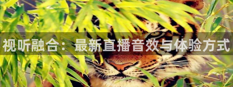 火凤斗球直播体育：视听融合：最新直播音效与体验方式