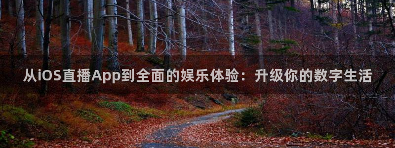 火凤直播体育免费直播火箭：从iOS直播App到全面的娱乐体验：升级你的数字生活